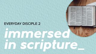 Everyday Disciple 2 - Immersed in Scripture Psalms 19:7-9 The Message