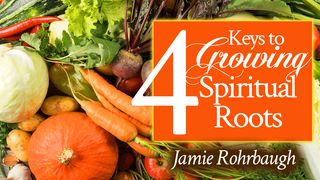 4 Keys to Growing Spiritual Roots Luke 6:30 The Passion Translation
