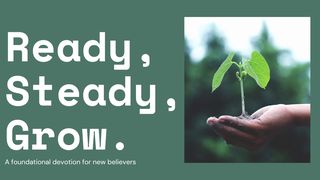 Ready, Steady, Grow Proverbs 28:13 New American Standard Bible - NASB 1995
