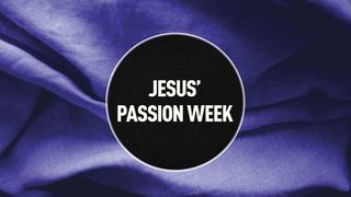 Jesus’ Passion Week: Our Savior’s Last Days and Ultimate Sacrifice John 13:19 New American Standard Bible - NASB 1995