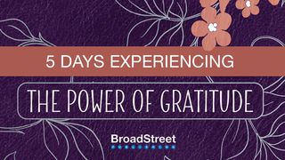 5 Days Experiencing the Power of Gratitude 1 Chronicles 28:20 Amplified Bible