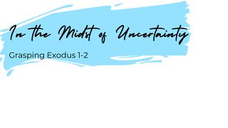 In the Midst of Uncertainty: Grasping Exodus 1-2 Exodus 1:17 New Living Translation