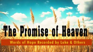 The Promise of Heaven Matthew 13:41-42 New Living Translation