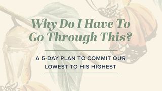 Why Do I Have to Go Through This? A 5-Day Plan to Commit Our Lowest to His Highest Genesis 22:15-18 The Message