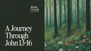 Revive Us, Lord: A Journey Through John 13-16 1 John 2:7-11 New American Standard Bible - NASB 1995