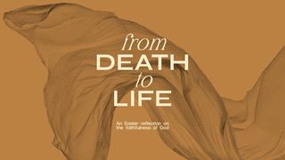 From Death to Life John 3:15 New Living Translation