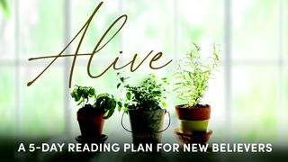 Alive: Grow in Your Relationship With Jesus Romans 4:7-8 New Living Translation
