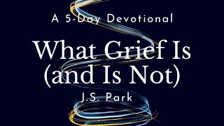 What Grief Is (And Is Not) by J.S. Park Psalms 31:9-16 Amplified Bible