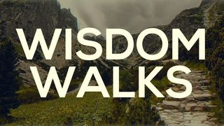 FCA Wrestling - Wisdom Walks (A 5-Session Bible Study) Luke 6:40 Amplified Bible