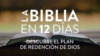 La Biblia en 12 Días: Descubre El Plan de Redención de Dios Esdras 4:3 Biblia Reina Valera 1960
