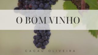 O Melhor Vinho Romanos 8:28 Nova Bíblia Viva Português