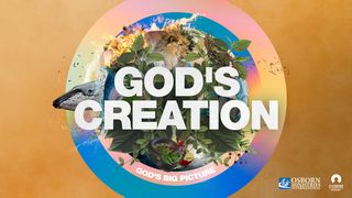 God’s Creation Psalms 8:6 Amplified Bible