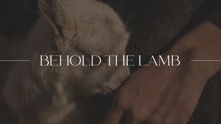 Behold the Lamb Isaiah 52:14 Amplified Bible