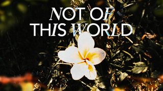 Not of This World I Peter 2:19 New King James Version