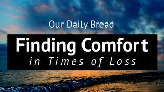 Our Daily Bread: Finding Comfort in Times of Loss  Psalms 147:7-11 The Message