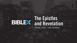 BibleX: The Epistles & Revelation  1 John 2:9-11 The Message