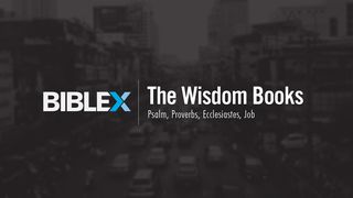 BibleX: The Wisdom Books  Job 2:3 New International Version