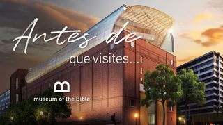 Antes De Que Visites El Museo De La Biblia Miqueas 6:8 Reina Valera Contemporánea