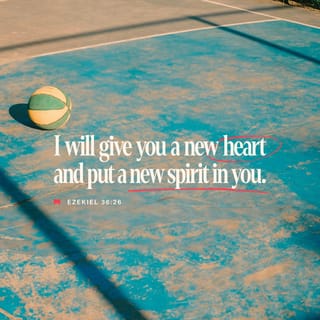 Ezekiel 36:26 - I will give you a new heart and put a new spirit in you. I will remove your stubborn hearts and give you obedient hearts.