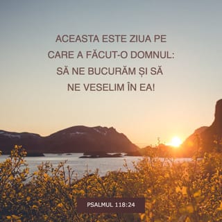 Psalmul 118:24 VDC