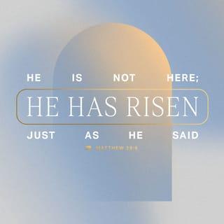 Matthew 28:5-7 - But the angel said to the women, “Do not be afraid, for I know that you seek Jesus who was crucified. He is not here, for he has risen, as he said. Come, see the place where he lay. Then go quickly and tell his disciples that he has risen from the dead, and behold, he is going before you to Galilee; there you will see him. See, I have told you.”