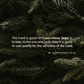 Lamentations 3:25-27-25-27 - GOD proves to be good to the man who passionately waits,
to the woman who diligently seeks.
It’s a good thing to quietly hope,
quietly hope for help from GOD.
It’s a good thing when you’re young
to stick it out through the hard times.