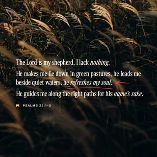 Psalms 23:1-3-1-3 - GOD, my shepherd!
I don’t need a thing.
You have bedded me down in lush meadows,
you find me quiet pools to drink from.
True to your word,
you let me catch my breath
and send me in the right direction.