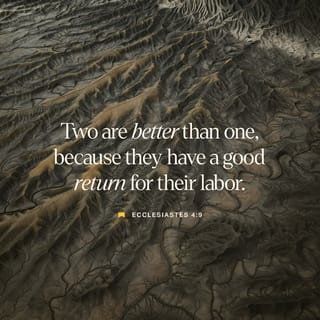 Ecclesiastes 4:9 - Two are better than one,
because they have a good return for their labor