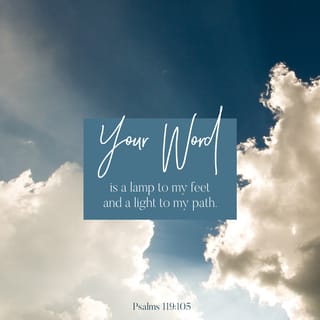 Psalms 119:105 - Your word is like a lamp for my feet
and a light for my path.