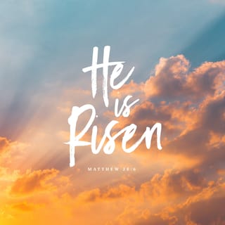 Matthew 28:5-6 - But the angel said to the women, “Do not be afraid, for I know that you seek Jesus who was crucified. He is not here, for he has risen, as he said. Come, see the place where he lay.
