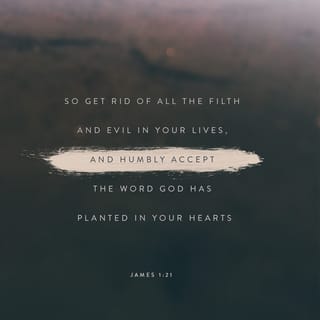 James 1:21-22 - So get rid of all the filth and evil in your lives, and humbly accept the word God has planted in your hearts, for it has the power to save your souls.
But don’t just listen to God’s word. You must do what it says. Otherwise, you are only fooling yourselves.