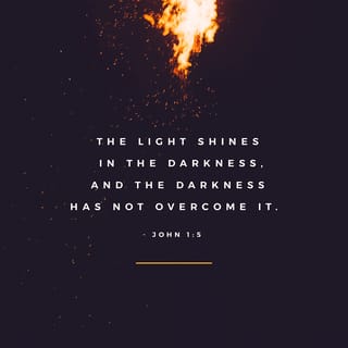 John 1:5 - The Light shines in the darkness, and the darkness did not comprehend it.