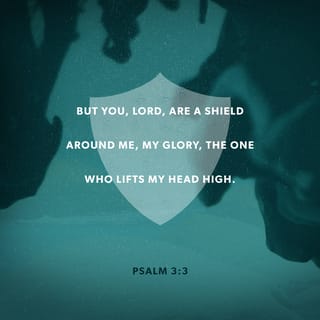 Psalm 3:3-4 - But thou, O LORD, art a shield for me;
My glory, and the lifter up of mine head.
I cried unto the LORD with my voice,
And he heard me out of his holy hill. Selah.