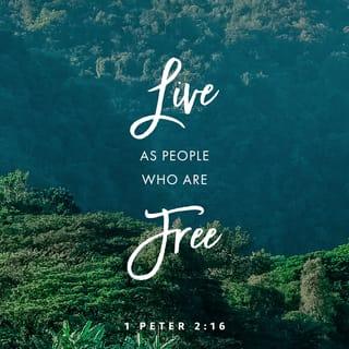 1 Peter 2:16 - Live as free people, but don’t hide behind your freedom when you do evil. Instead, use your freedom to serve God.