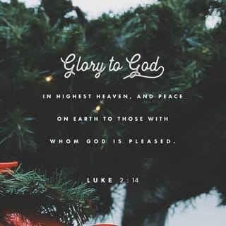 Luke 2:14 - “Give glory to God in heaven,
and on earth let there be peace among the people who please God.”