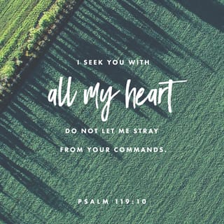 Psalm 119:9-11 - Wherewithal shall a young man cleanse his way?
By taking heed thereto according to thy word.
With my whole heart have I sought thee:
O let me not wander from thy commandments.
Thy word have I hid in mine heart,
That I might not sin against thee.