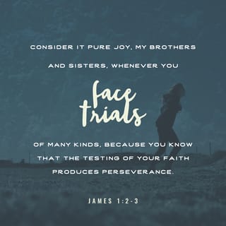James 1:2-24 - Consider it pure joy, my brothers and sisters, whenever you face trials of many kinds, because you know that the testing of your faith produces perseverance. Let perseverance finish its work so that you may be mature and complete, not lacking anything. If any of you lacks wisdom, you should ask God, who gives generously to all without finding fault, and it will be given to you. But when you ask, you must believe and not doubt, because the one who doubts is like a wave of the sea, blown and tossed by the wind. That person should not expect to receive anything from the Lord. Such a person is double-minded and unstable in all they do.
Believers in humble circumstances ought to take pride in their high position. But the rich should take pride in their humiliation—since they will pass away like a wild flower. For the sun rises with scorching heat and withers the plant; its blossom falls and its beauty is destroyed. In the same way, the rich will fade away even while they go about their business.
Blessed is the one who perseveres under trial because, having stood the test, that person will receive the crown of life that the Lord has promised to those who love him.
When tempted, no one should say, “God is tempting me.” For God cannot be tempted by evil, nor does he tempt anyone; but each person is tempted when they are dragged away by their own evil desire and enticed. Then, after desire has conceived, it gives birth to sin; and sin, when it is full-grown, gives birth to death.
Don’t be deceived, my dear brothers and sisters. Every good and perfect gift is from above, coming down from the Father of the heavenly lights, who does not change like shifting shadows. He chose to give us birth through the word of truth, that we might be a kind of firstfruits of all he created.

My dear brothers and sisters, take note of this: Everyone should be quick to listen, slow to speak and slow to become angry, because human anger does not produce the righteousness that God desires. Therefore, get rid of all moral filth and the evil that is so prevalent and humbly accept the word planted in you, which can save you.
Do not merely listen to the word, and so deceive yourselves. Do what it says. Anyone who listens to the word but does not do what it says is like someone who looks at his face in a mirror and, after looking at himself, goes away and immediately forgets what he looks like.