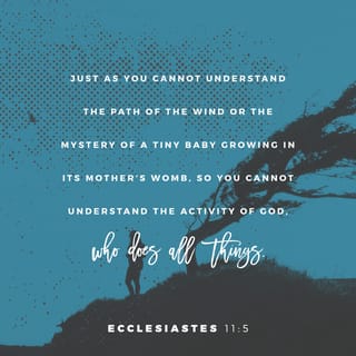 Ecclesiastes 11:5 - You don’t know where the wind will blow,
and you don’t know how a baby grows inside the mother.
In the same way, you don’t know what God is doing,
or how he created everything.