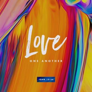John 13:34-35 - ‘A new command I give you: love one another. As I have loved you, so you must love one another. By this everyone will know that you are my disciples, if you love one another.’