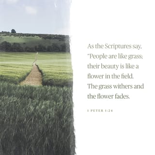 1 Peter 1:24-25 - For,
“All people are like grass,
and all their glory is like the flowers of the field;
the grass withers and the flowers fall,
but the word of the Lord endures forever.”
And this is the word that was preached to you.