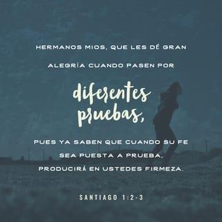 Santiago 1:3 RVR1960