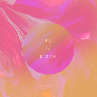 Matthew 28:6 - He is not here: for he is risen, as he said. Come, see the place where the Lord lay.