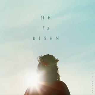 Matthew 28:5-7 - Then the angel spoke to the women. “Don’t be afraid!” he said. “I know you are looking for Jesus, who was crucified. He isn’t here! He is risen from the dead, just as he said would happen. Come, see where his body was lying. And now, go quickly and tell his disciples that he has risen from the dead, and he is going ahead of you to Galilee. You will see him there. Remember what I have told you.”