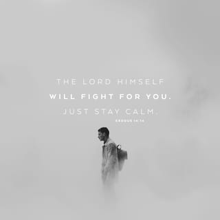Exodus 14:14 - Jehovah will fight for you, and ye shall hold your peace.
