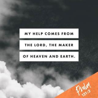 Psalms 121:2 - My help comes from the LORD,
Who made heaven and earth.