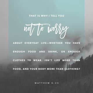 Matthew 6:25-26 - “If you decide for God, living a life of God-worship, it follows that you don’t fuss about what’s on the table at mealtimes or whether the clothes in your closet are in fashion. There is far more to your life than the food you put in your stomach, more to your outer appearance than the clothes you hang on your body. Look at the birds, free and unfettered, not tied down to a job description, careless in the care of God. And you count far more to him than birds.