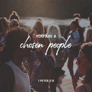 1 Peter 2:9 - But you are a chosen people, royal priests, a holy nation, a people for God’s own possession. You were chosen to tell about the wonderful acts of God, who called you out of darkness into his wonderful light.