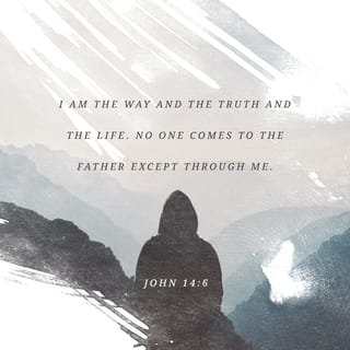 John 14:6-7 - Jesus said, “I am the Road, also the Truth, also the Life. No one gets to the Father apart from me. If you really knew me, you would know my Father as well. From now on, you do know him. You’ve even seen him!”