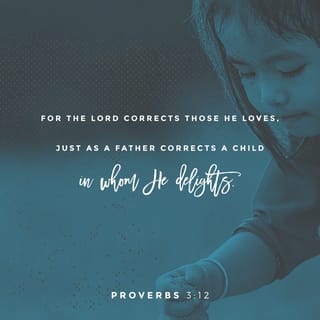 Proverbs 3:11-12 - My child, do not reject the LORD’s discipline,
and don’t get angry when he corrects you.
The LORD corrects those he loves,
just as parents correct the child they delight in.