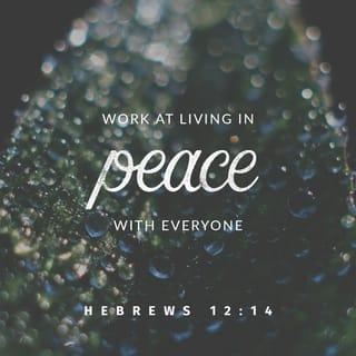 Hebrews 12:14-16 - Strive for peace with everyone, and for the holiness without which no one will see the Lord. See to it that no one fails to obtain the grace of God; that no “root of bitterness” springs up and causes trouble, and by it many become defiled; that no one is sexually immoral or unholy like Esau, who sold his birthright for a single meal.